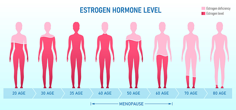 Graphic that shows the estrogen hormone levels in women at various ages